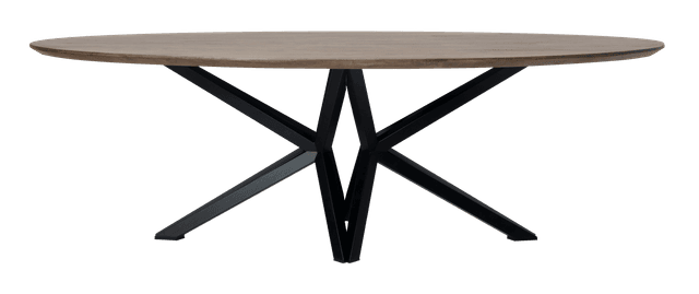 Oval dining table with vanessa leg